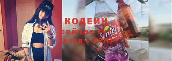 соль ск Горнозаводск