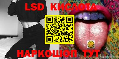кокс Кингисепп