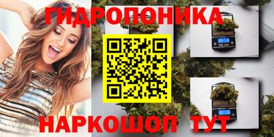 метадон Кимры