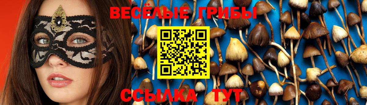 Красногорск  Галлюциногенные грибы Psilocybe  Галлюциногенные грибы ЛСД  Вход с VPN 